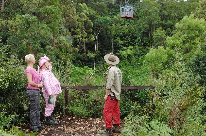 Tag 11 im australischen Urwald: Martin, Daniel und Ramona sind raus. Acht verbliebene Kandidaten kämpfen noch um den Titel des Dschungelkönigs bzw. -Königin. Während sich die Damen gefangen haben, machen die Männer schlapp und verlieren sich im Jammertal. Alle Männer? Nein. Rocco hält die Fahnen für das &bdquo;starke&ldquo; Geschlecht hoch. Und hochmotiviert tritt er seine dritte Dschungelprüfung mit dem Namen &bdquo;Wenn die Gondeln trauern tragen&ldquo; an.