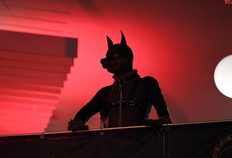 Impressionen von der Venus 2017 in Berlin.