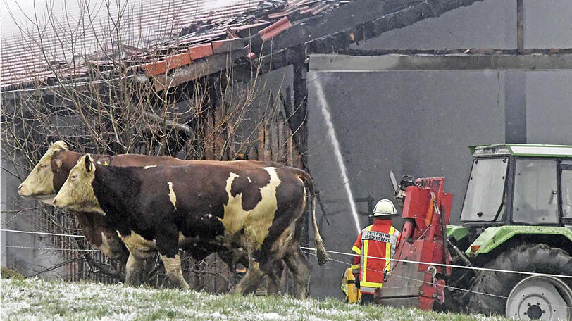 Bilder vom Feuerwehreinsatz in Irschenberg.