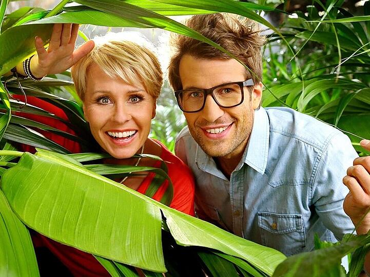 Das große Krabbeln geht wieder los! Nicht nur Sonja Zietlow und Daniel Hartwig freuen sich auf die elf neuen Promi-Kandidaten im Dschungelcamp.