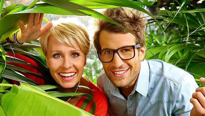 Das große Krabbeln geht wieder los! Nicht nur Sonja Zietlow und Daniel Hartwig freuen sich auf die elf neuen Promi-Kandidaten im Dschungelcamp. Das große Krabbeln geht wieder los! Nicht nur Sonja Zietlow und Daniel Hartwig freuen sich auf die elf neuen Promi-Kandidaten im Dschungelcamp.