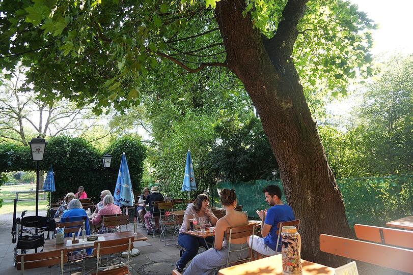 Ein alter Ahorn beschattet "Finnerls Gartenoase", die mit lauschigen 60 Plätzen in der Schrebergartenanlage "Nord-Ost 17 Donau-Neuland e. V." in Bogenhausen liegt.