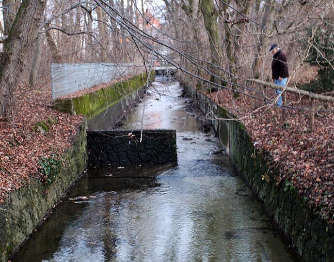 Das ist der Grund, warum der Weiher leer lief: Am angeschlossenen Kanal wurde ein Stück aus dem Staudamm herausgebrochen. Der Weiher ist per Ablauf mit dem Kanal verbunden.