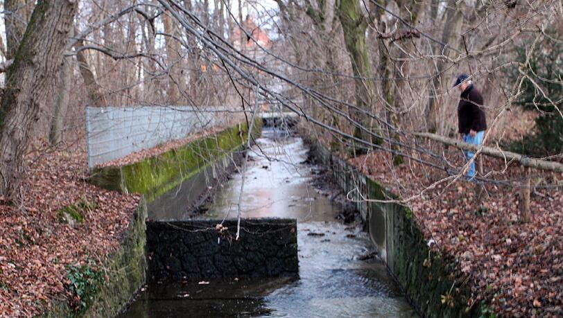 Das ist der Grund, warum der Weiher leer lief: Am angeschlossenen Kanal wurde ein Stück aus dem Staudamm herausgebrochen. Der Weiher ist per Ablauf mit dem Kanal verbunden. Das ist der Grund, warum der Weiher leer lief: Am angeschlossenen Kanal wurde ein Stück aus dem Staudamm herausgebrochen. Der Weiher ist per Ablauf mit dem Kanal verbunden.