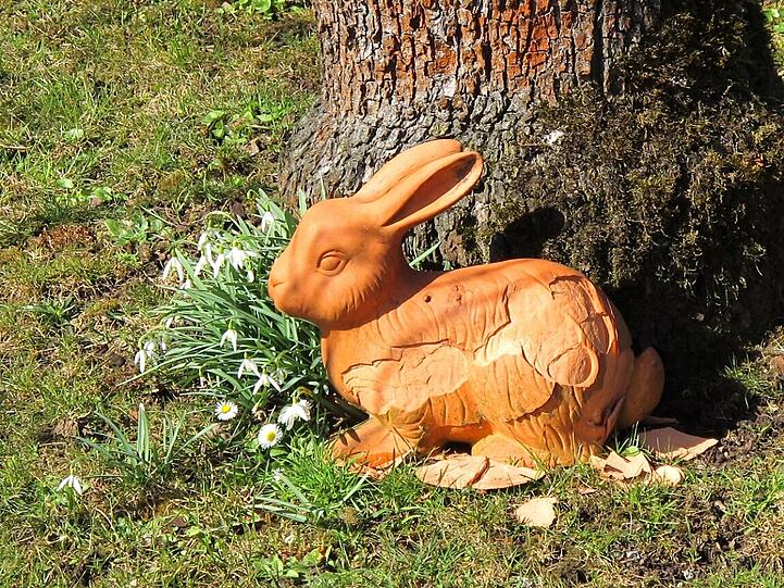 AZ-Leser Djordje Matkovic hat in der Gartenlaube in Moosach die Frühlingsboten fotografiert. Die Bilder.