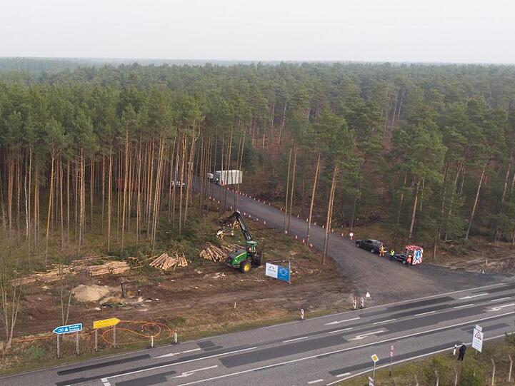 Mit einem Holzvollernter werden Bäume gefällt. Der US-Elektroautobauer Tesla lässt für sein neues Werk in Grünheide den Wald roden.