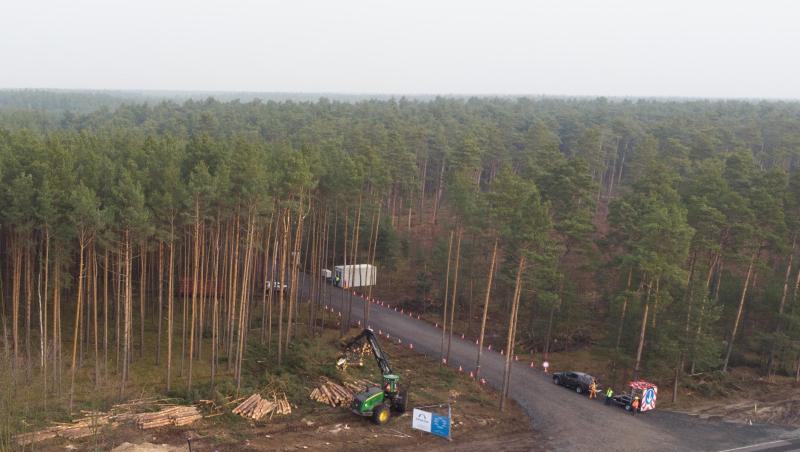 Mit einem Holzvollernter werden Bäume gefällt. Der US-Elektroautobauer Tesla lässt für sein neues Werk in Grünheide den Wald roden. Mit einem Holzvollernter werden Bäume gefällt. Der US-Elektroautobauer Tesla lässt für sein neues Werk in Grünheide den Wald roden.