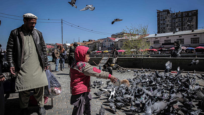 Ein Kind füttert Tauben vor der Schah-Do-Schamschira-Moschee in Kabul. Der Alltag ist für viele Afghanen berechenbarer geworden. Ein Kind füttert Tauben vor der Schah-Do-Schamschira-Moschee in Kabul. Der Alltag ist für viele Afghanen berechenbarer geworden.