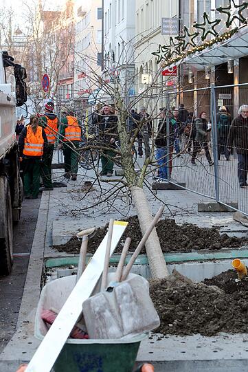 Der Ist-Zustand vom Montag. Die Löcher auf dem Gehweg wurden mit nährstoffreicher Erde gefüllt. Die ersten Bäume...