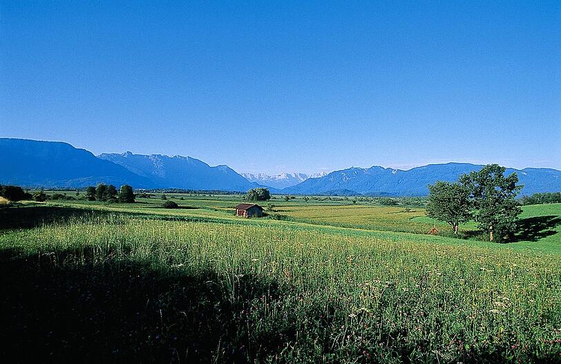 So etwas gibt&rsquo;s nur im schönen Oberbayern: Das idyllische Murnauer Moos, eine einzigartige Kulturlandschaft.