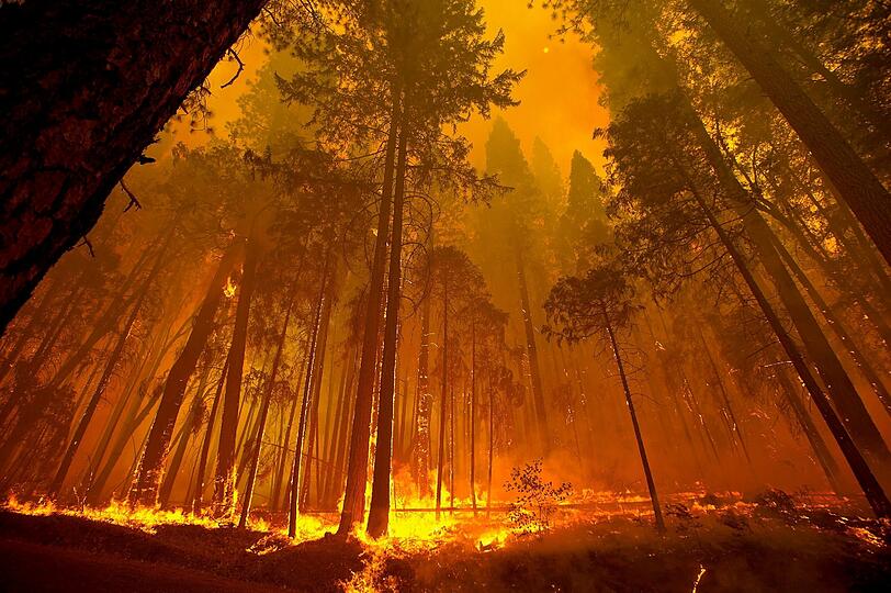 Die Waldbrände in der kalifornischen Sierra Nevada haben den Yosemite-Nationalpark erreicht. Die Bilder der Feuersbrunst!