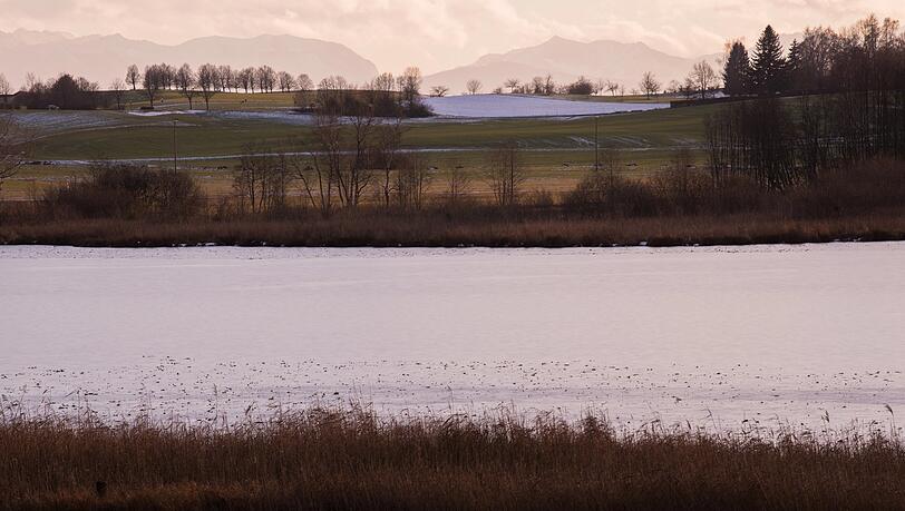 Mystisch sieht der Egglburger See im Herbst aus. Mystisch sieht der Egglburger See im Herbst aus.