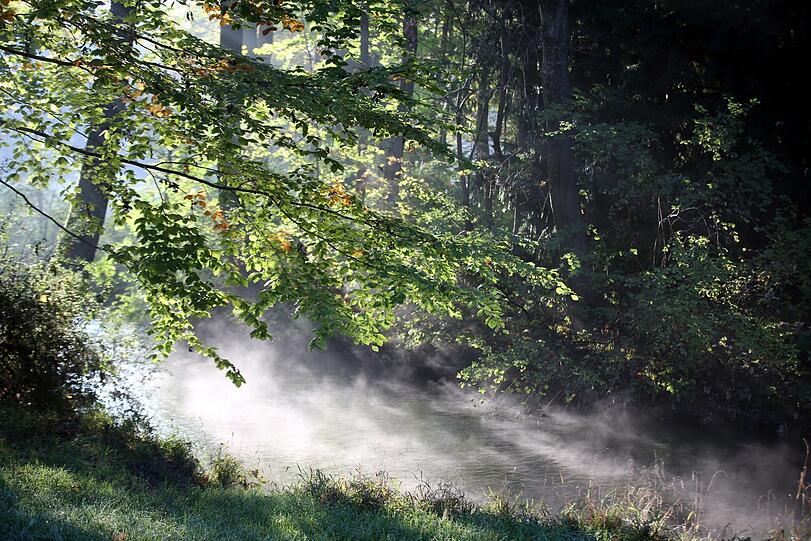 17. Oktober: Ganz schön grün noch - aber der Nebel wabert schon.