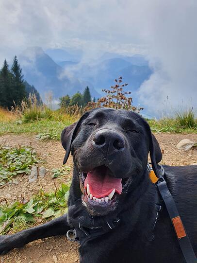 Hera