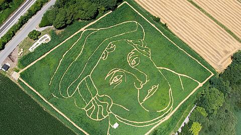 Luther in einem bayerischen Maisfeld - ansonsten ist Bayern &uuml;berwiegend katholisch. (Symbolbild)