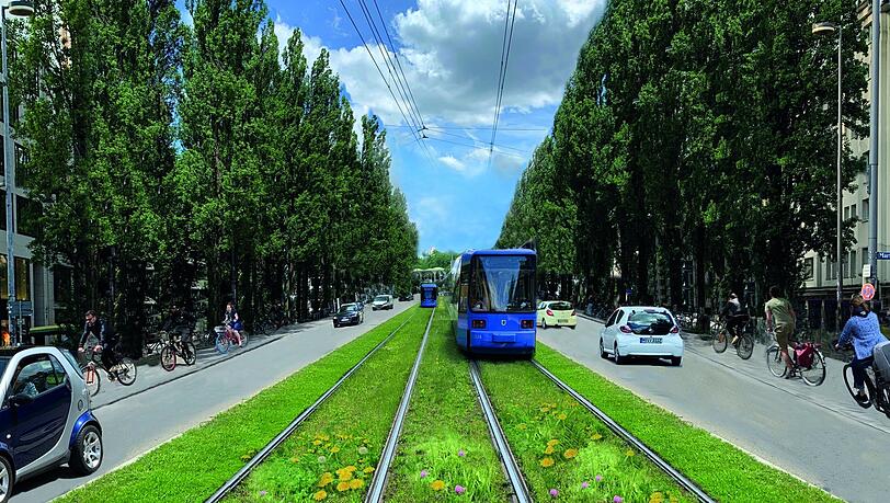 Ein grünes Gleisbett bekommt die Tram auf der Leopoldstraße nicht.