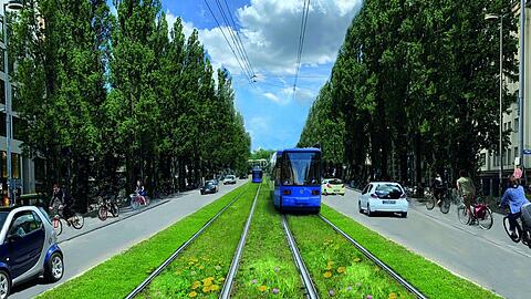 Ein grünes Gleisbett bekommt die Tram auf der Leopoldstraße nicht.