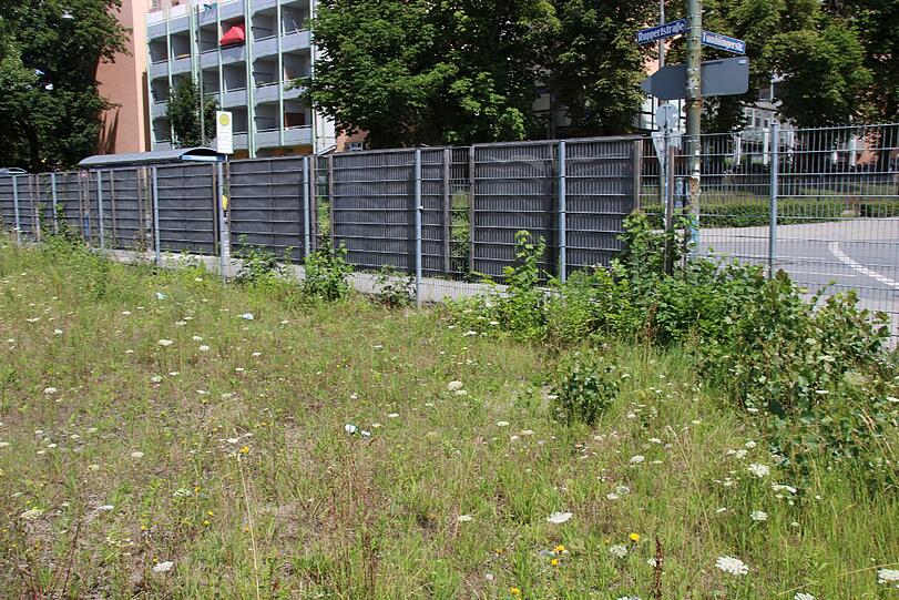 Auf der Brache gegenüber vom Viehhof soll das neue Kulturzentrum für die Bezirke Isarvorstadt und Ludwigsvorstadt entstehen.