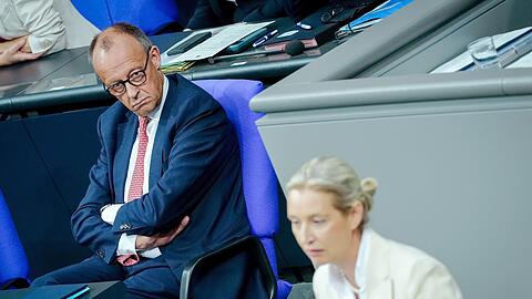 Merz und Weidel liefern sich einen heftigen Schlagabtausch.