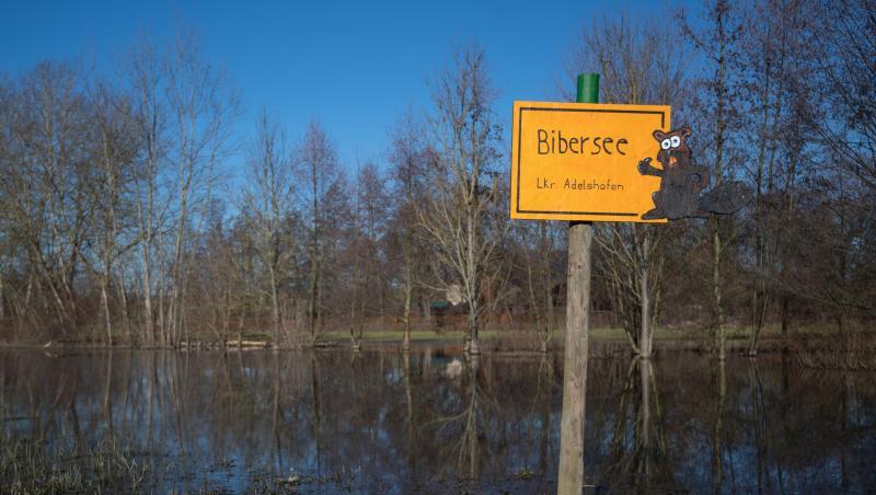 Ein handgemachtes gelbes Ortsschild verweist auf den "Bibersee" in der Nähe des Eppinger Ortsteils Adelshofen. Ein handgemachtes gelbes Ortsschild verweist auf den "Bibersee" in der Nähe des Eppinger Ortsteils Adelshofen.