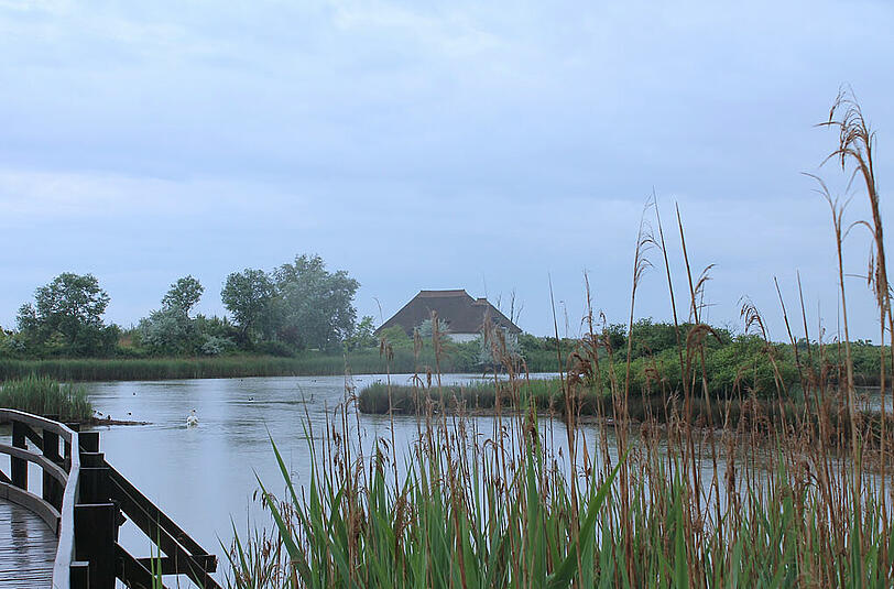 Das Naturreservat der Lagune ist die Heimat von vielen hundert Vogelarten.