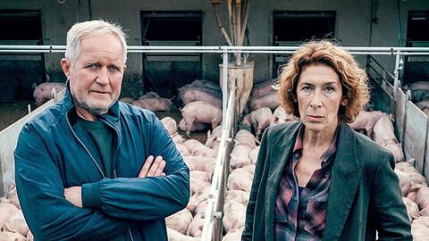 "Tatort: Bauernsterben": Moritz Eisner (Harald Krassnitzer) und Bibi Fellner (Adele Neuhauser) auf dem Mastbetrieb des toten Max Winkler.