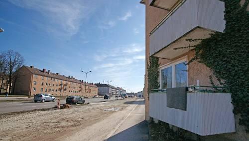 Völlig neue Perspektive: Wie hier entlang der Garmischer Straße gleich am Westpark wurde radikal abgeholzt. Völlig neue Perspektive: Wie hier entlang der Garmischer Straße gleich am Westpark wurde radikal abgeholzt.