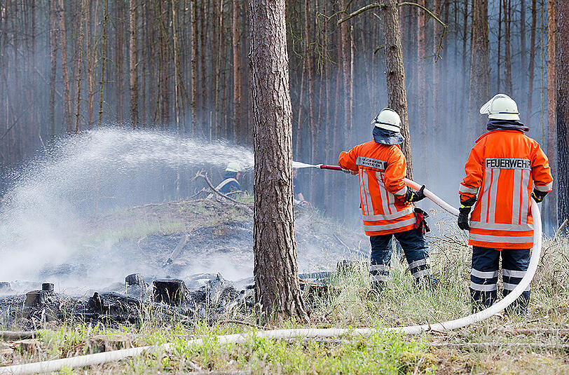 Wegen der anhaltenden Trockenheit hat der Deutsche Wetterdienst für Wälder in Niedersachsen teils die zweithöchste Gefahrenstufe ausgerufen.