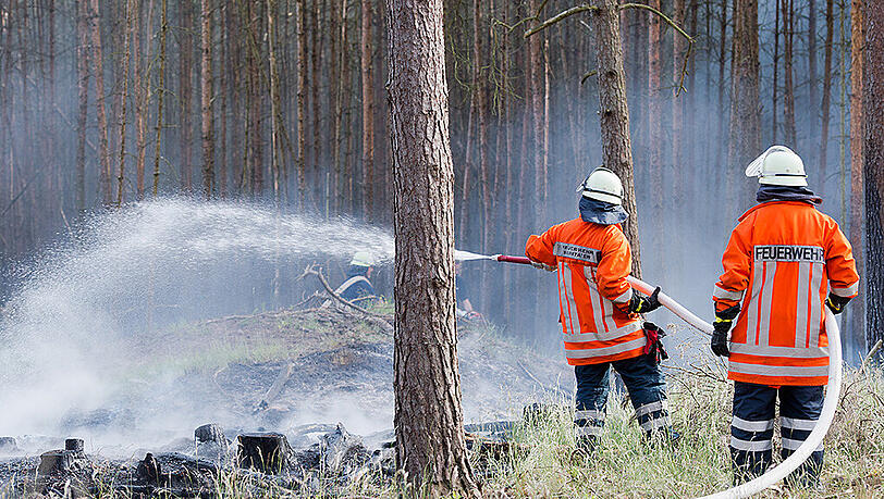 Wegen der anhaltenden Trockenheit hat der Deutsche Wetterdienst für Wälder in Niedersachsen teils die zweithöchste Gefahrenstufe ausgerufen. Wegen der anhaltenden Trockenheit hat der Deutsche Wetterdienst für Wälder in Niedersachsen teils die zweithöchste Gefahrenstufe ausgerufen.