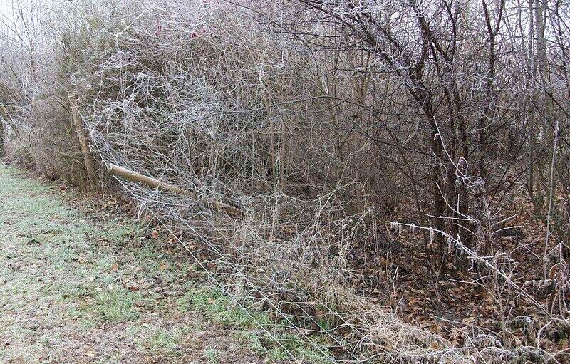 Die Einzäunung an der Langwieder Seenplatte verfällt.