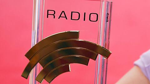 Der Radio Regenbogen Award wurde in diesem Jahr zum 22. Mal verliehen.