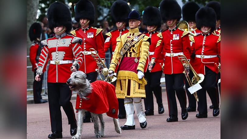 Die "Trooping the Colour"-Truppe der Irish Guards, hier bei einer Probe, wurden an diesem Donnerstag bei ihrer Zeremonie gestört.