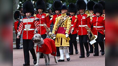 Die "Trooping the Colour"-Truppe der Irish Guards, hier bei einer Probe, wurden an diesem Donnerstag bei ihrer Zeremonie gestört.