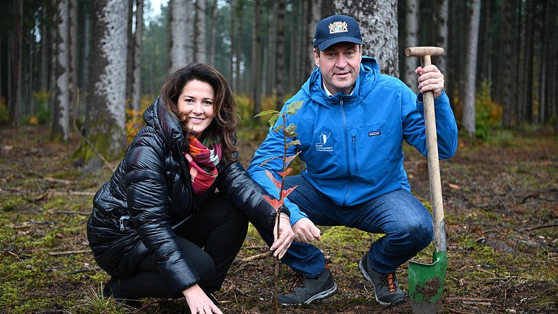 Haben ein rot-grünes Bäumchen eingepflanzt: Michalea Kaniber und Markus Söder (CSU).
