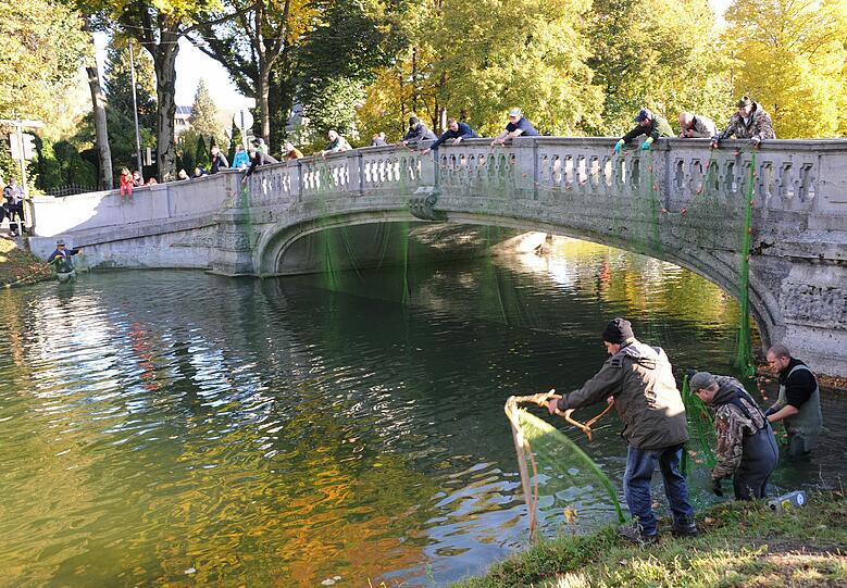 Die alten Karpfen aus dem Kanal vor Schloss Nymphenburg werden umgesiedelt.