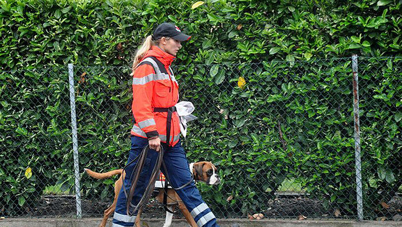 Boxerhündin Tiffany fand den vermissten 73-Jährigen schließlich in einem Waldstück. Boxerhündin Tiffany fand den vermissten 73-Jährigen schließlich in einem Waldstück.