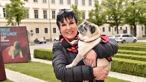 Uschi Ackermann stimmt das Verbot zur Mops-Haltung in den Niederlanden traurig.