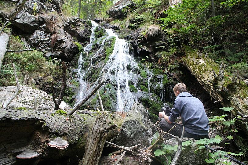 Das Höllbachgspreng: Ein Wasserfall wie im Dschungel.