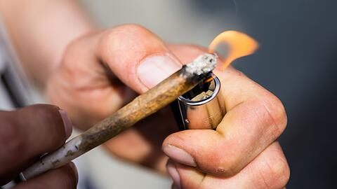 CSU kritisiert geplante Teillegalisierung von Cannabis.