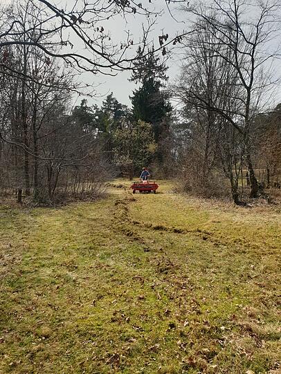 Hier sind Freiwillige vom LBV beim "Striegeln" zu sehen. Sie rechen Altgras aus der Wiese, damit kleine offene Stellen entstehen. Hier sind Freiwillige vom LBV beim "Striegeln" zu sehen. Sie rechen Altgras aus der Wiese, damit kleine offene Stellen entstehen.