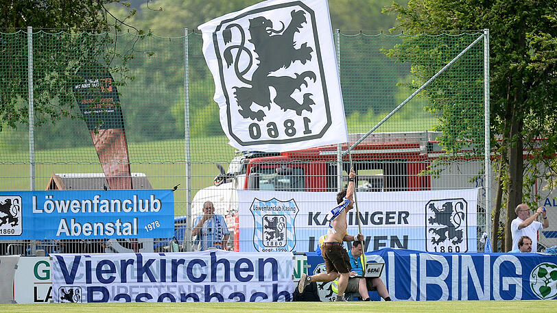 Die Impressionen aus Pipinsried