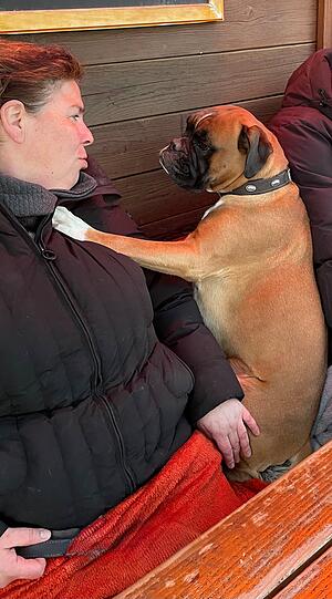 Sira Boxer: Mein Hund hat immer ein offenes Ohr für einen Ratsch unter Freundinnen.