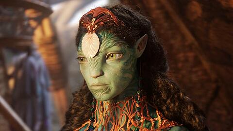 Bei einem japanischen Event zu "Avatar 2" schauten sich die Stars des Films eine Delfin-Show an.
