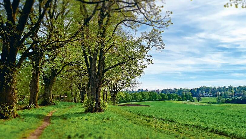 Bei kahlen Bäumen ist der Blick sogar noch schöner. Bei kahlen Bäumen ist der Blick sogar noch schöner.