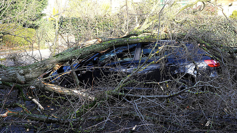 Bilder vom Feuerwehreinsatz am Agnes-Bernauer-Platz in Laim. Dort stürzte am Donnerstagmorgen ein Baum auf fünf geparkte Autos, zwei davon wurden vollkommen zerstört.