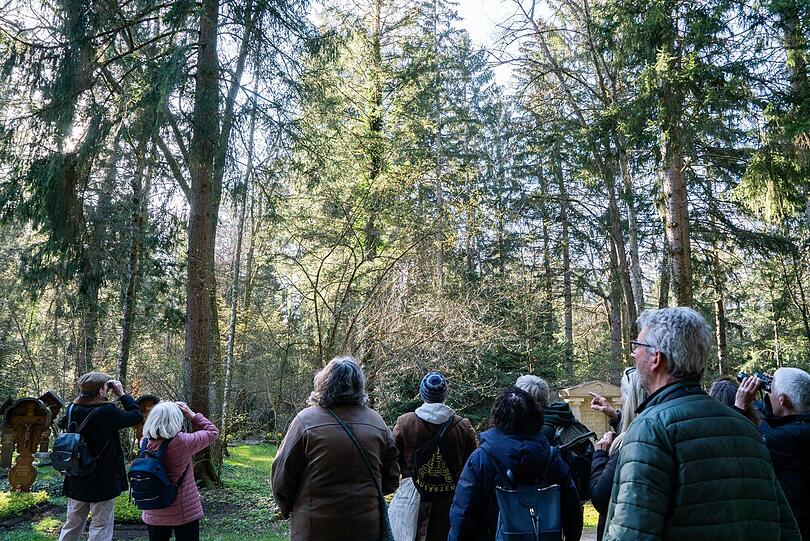 Die kleine Vogelwanderungsgruppe unterwegs im Waldfriedhof.