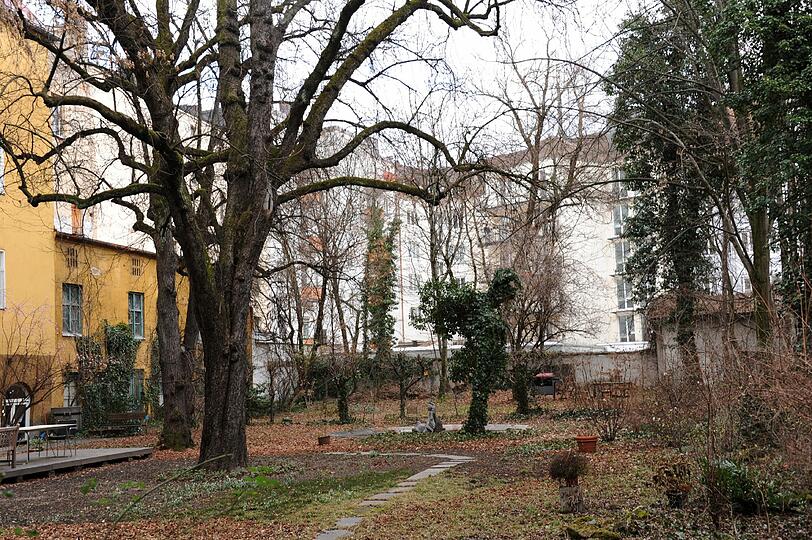 Im Sommer ein grünes Idyll mitten in der Altstadt, nur ein paar hundert Meter vom Marienplatz entfernt: der Radspielergarten zwischen Asamhof und Sendlinger Straße.