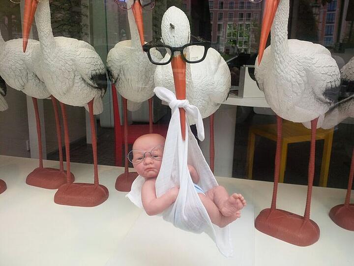 Aktuell sind Störche ausgestellt. Einer trägt sogar ein Baby - natürlich alle mit Brille.