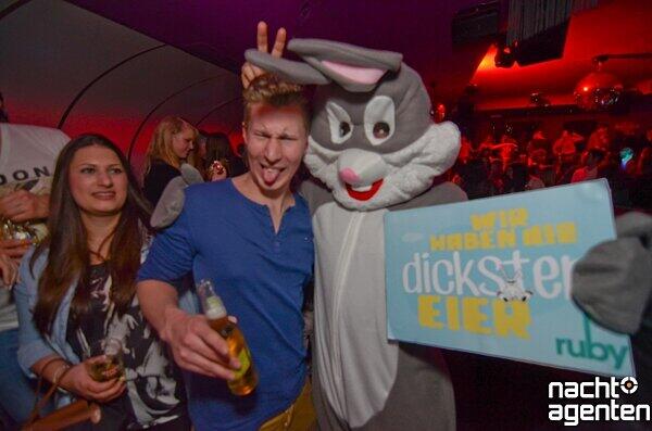 Dem Ruby hat der Osterhase einen Besuch abgestattet. "Ostersamstag" hieß das Fest. Mehr Bilder davon: www.nachtagenten.de