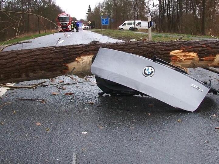 Ein umstürzender Baum tötete im münsterländischen Ochtrup einen Autofahrer.